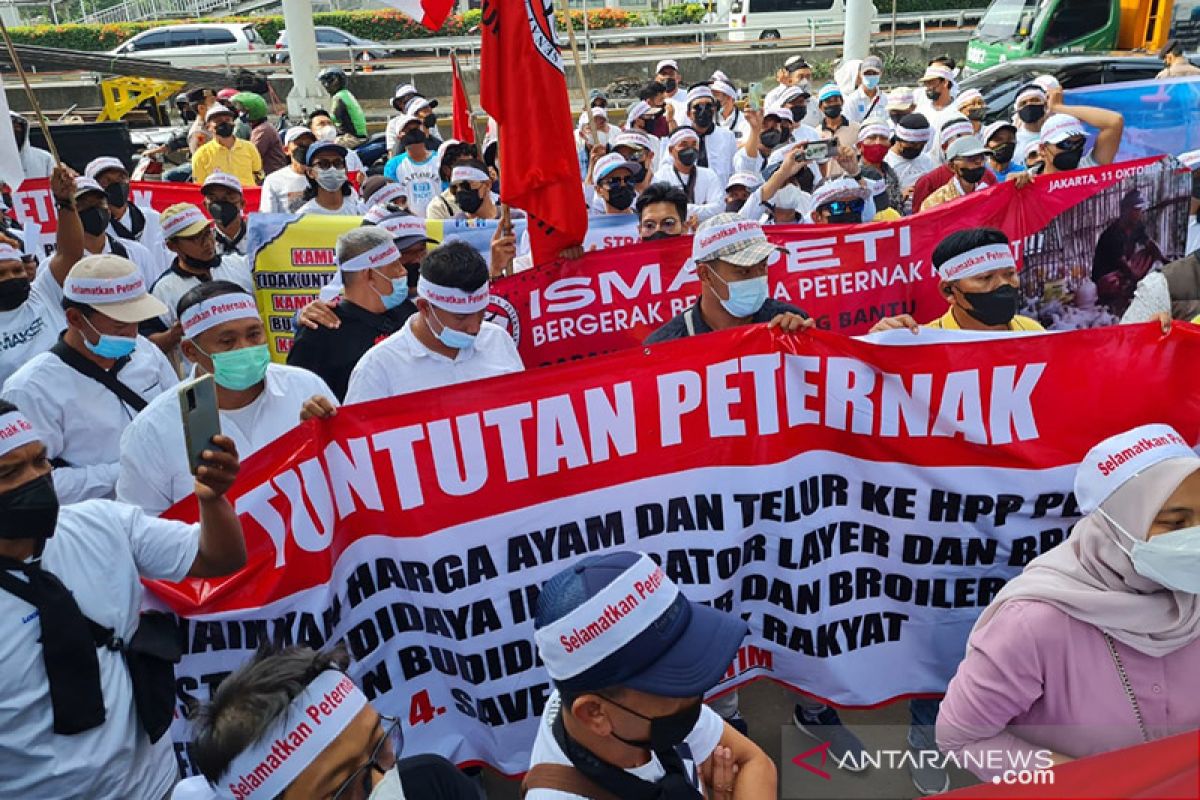 Demo peternak, Wagub DKI: Pemerintah berupaya yang terbaik