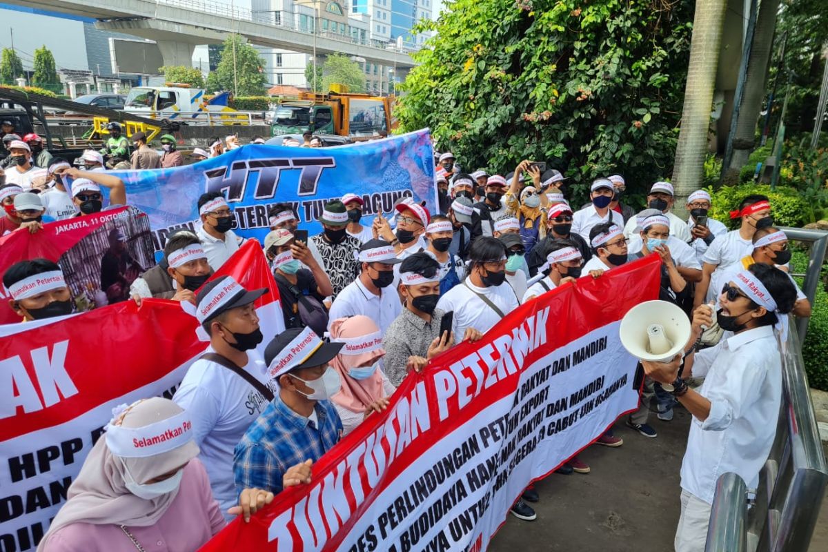 Aksi damai, peternak minta pemerintah serap telur seribu ton per hari