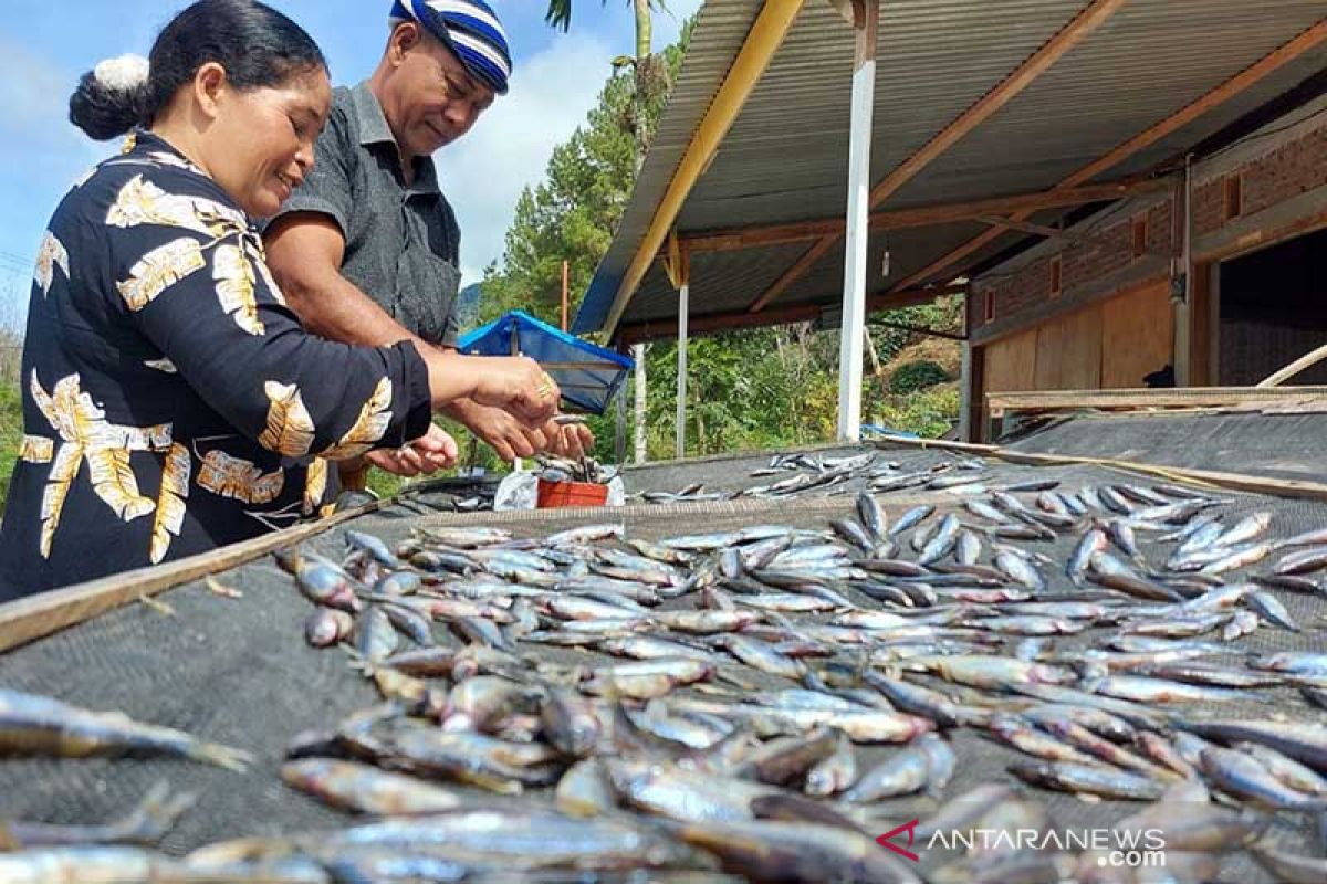 Nelayan jemur ikan depik