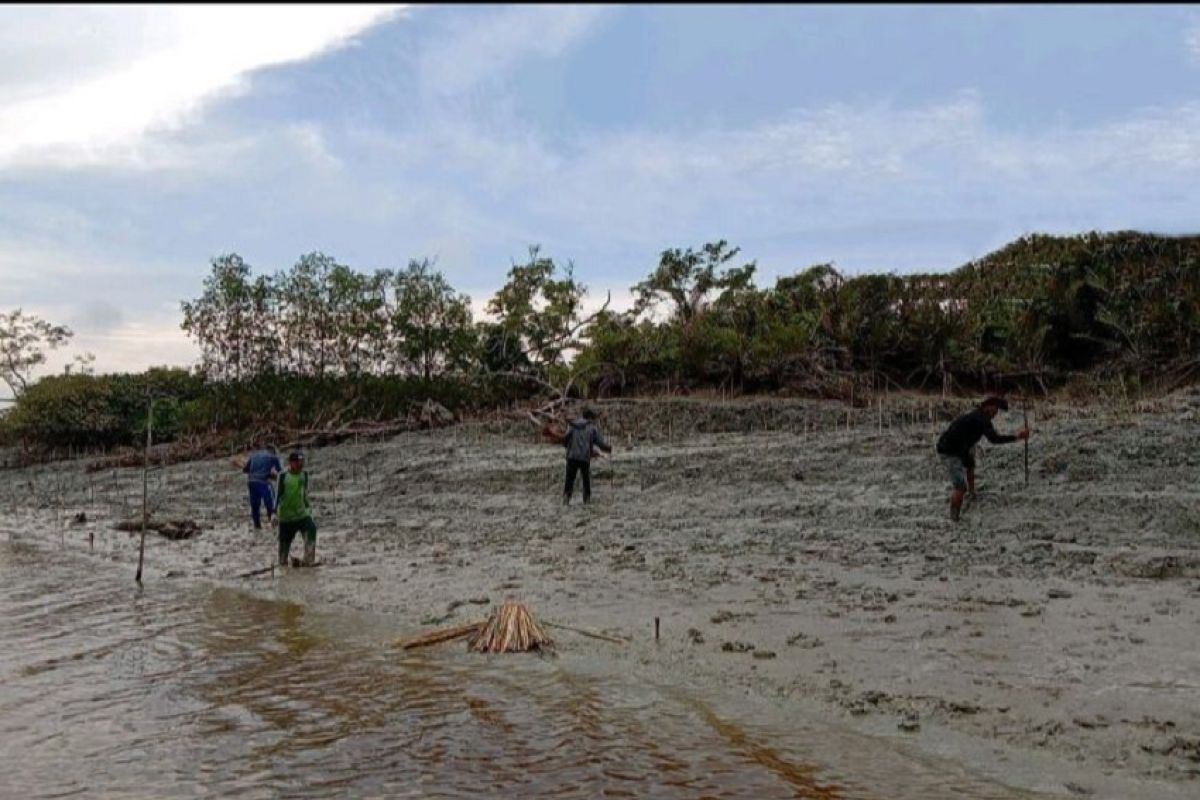 Pulihnya ekosistem mangrove dukung penurunan emisi karbon