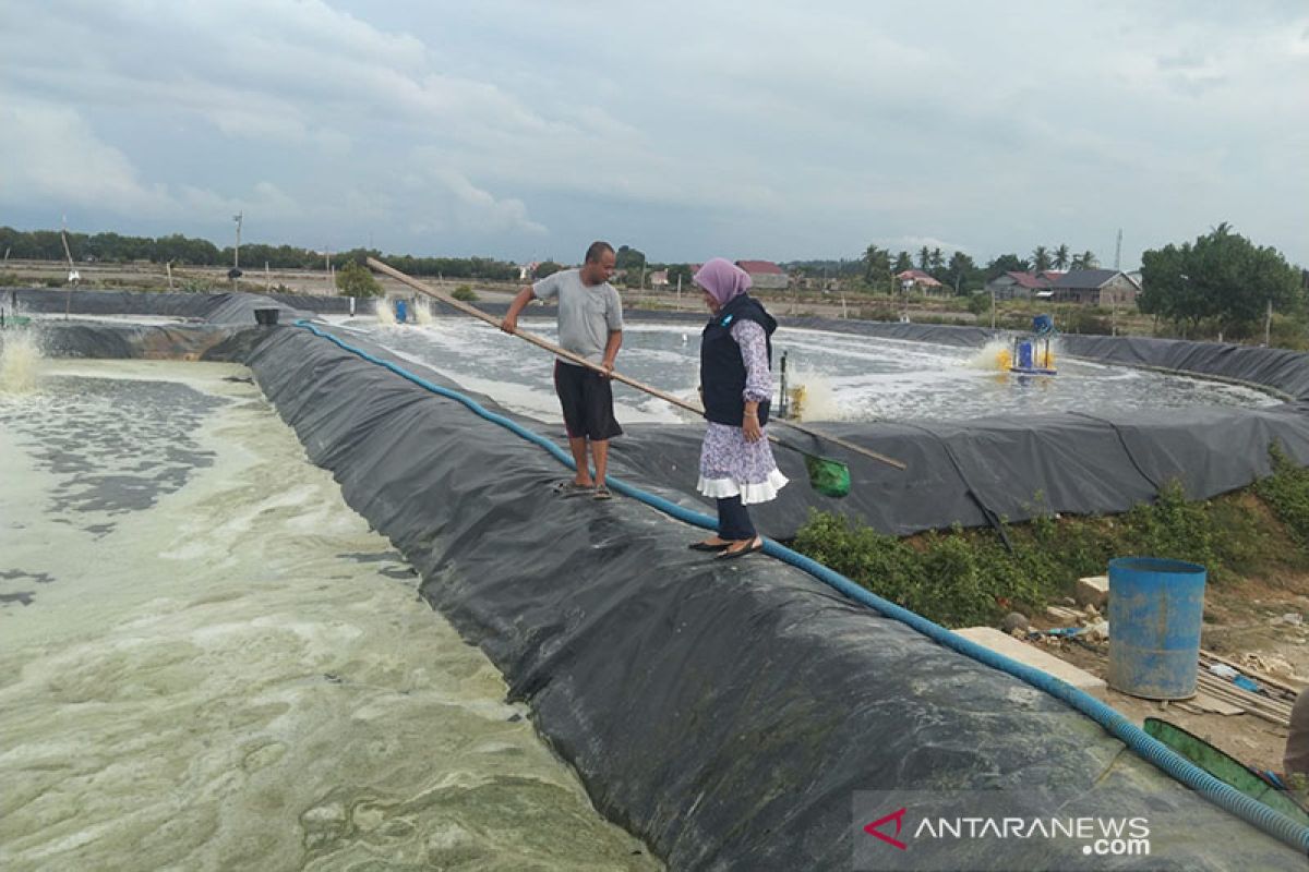 Pemkot Lhokseumawe fokuskan pengembangan budi daya perikanan darat