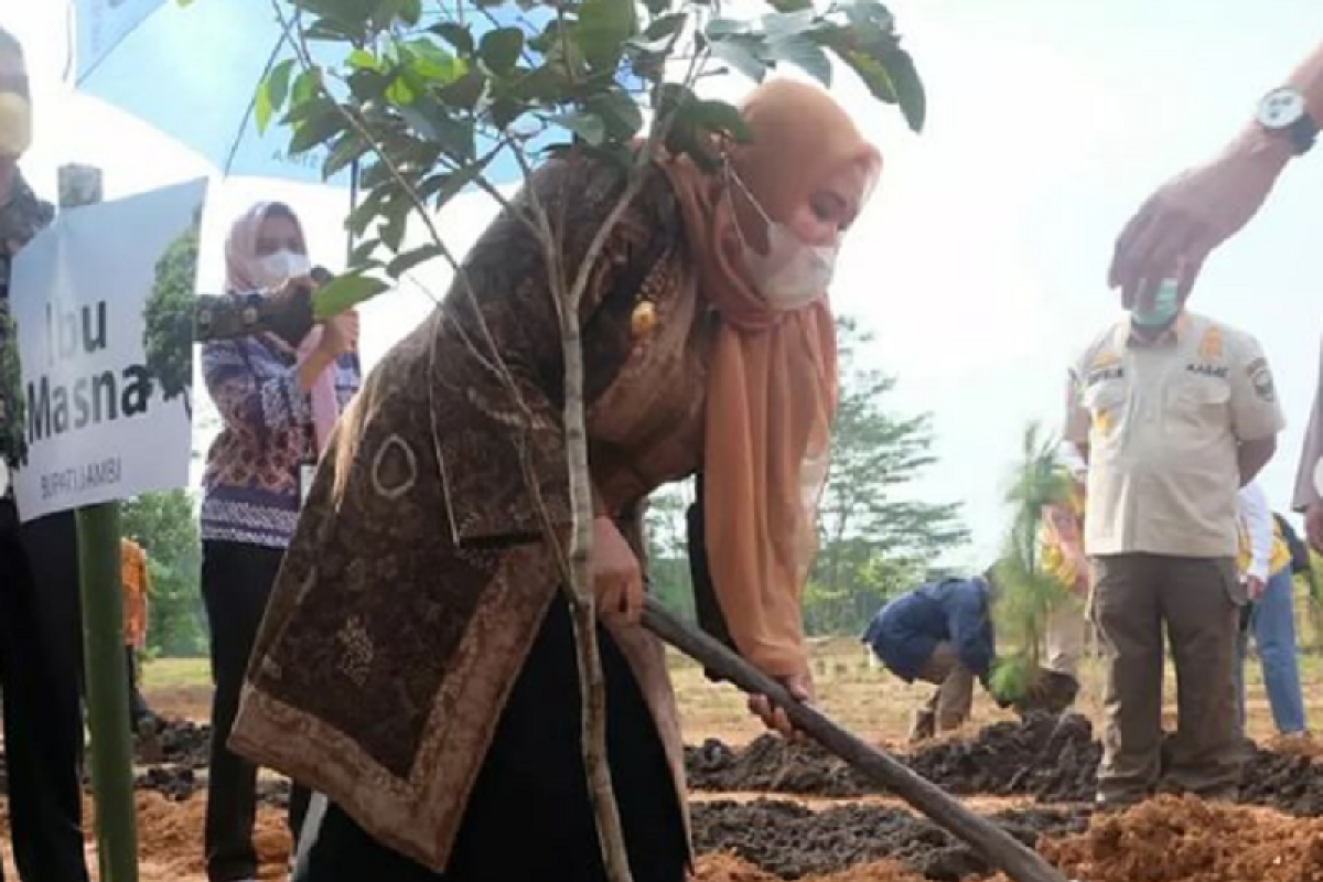 Bupati Muarojambi tanam pohon