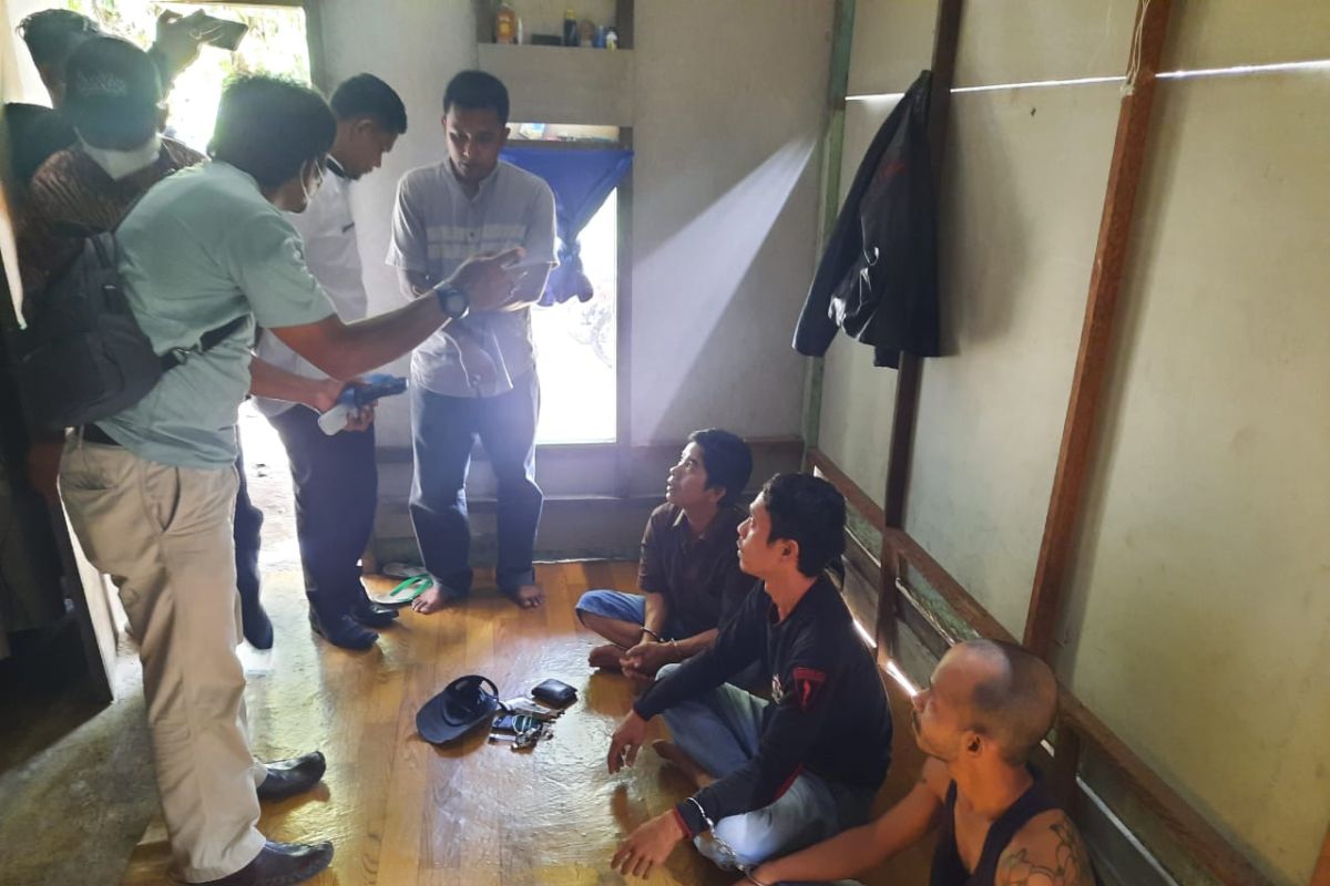 Diduga pengedar ganja, tiga pelaku ditangkap polisi di Pasaman Barat