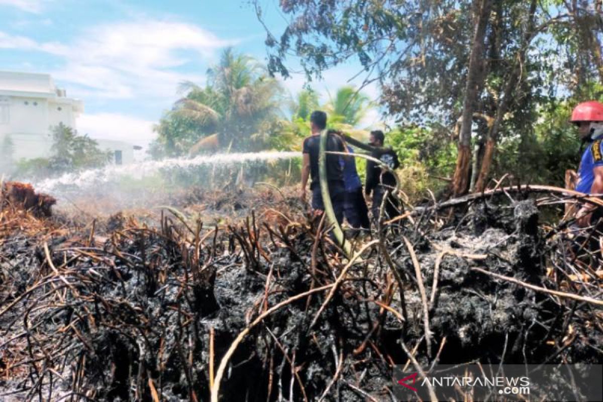 Dua hektare lahan gambut di Aceh Barat terbakar, begini upaya BPBD