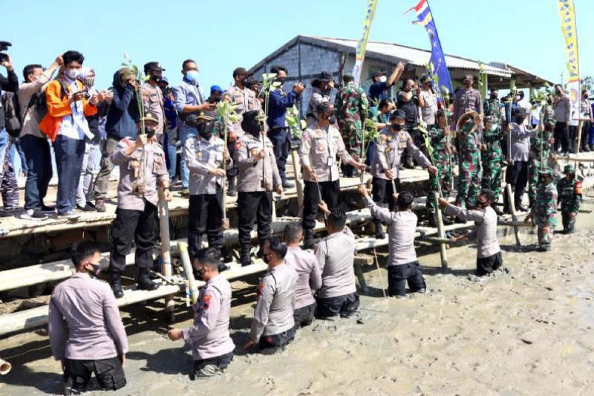 Polda "pagari" kawasan pesisir Jateng dengan mangrove