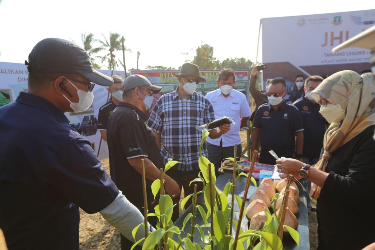 Gubernur Banten dukung pengembangan dan budidaya vanili