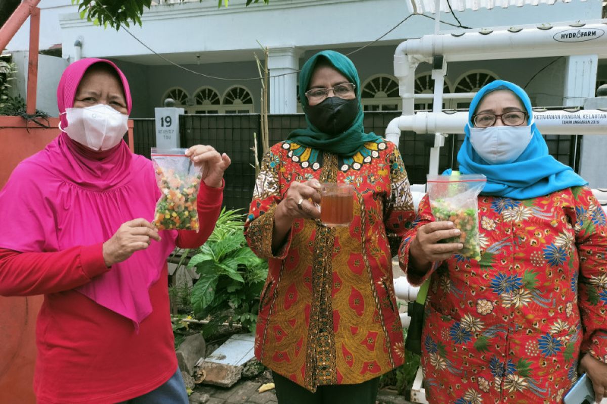 Warga Tanjung Duren dilatih usaha sayur mayur beku