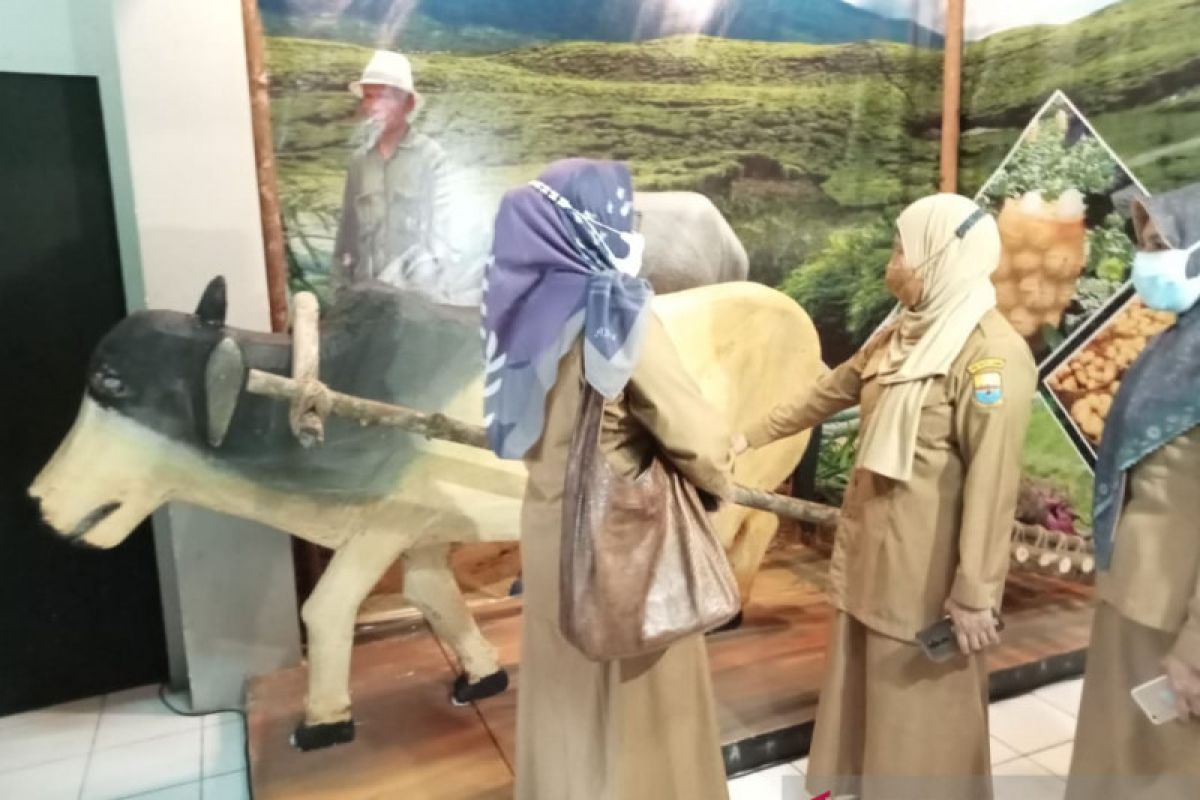 Hari museum nasional, Museum Siginjei pamerkan alat angkut dan trasportasi tradisional Jambi