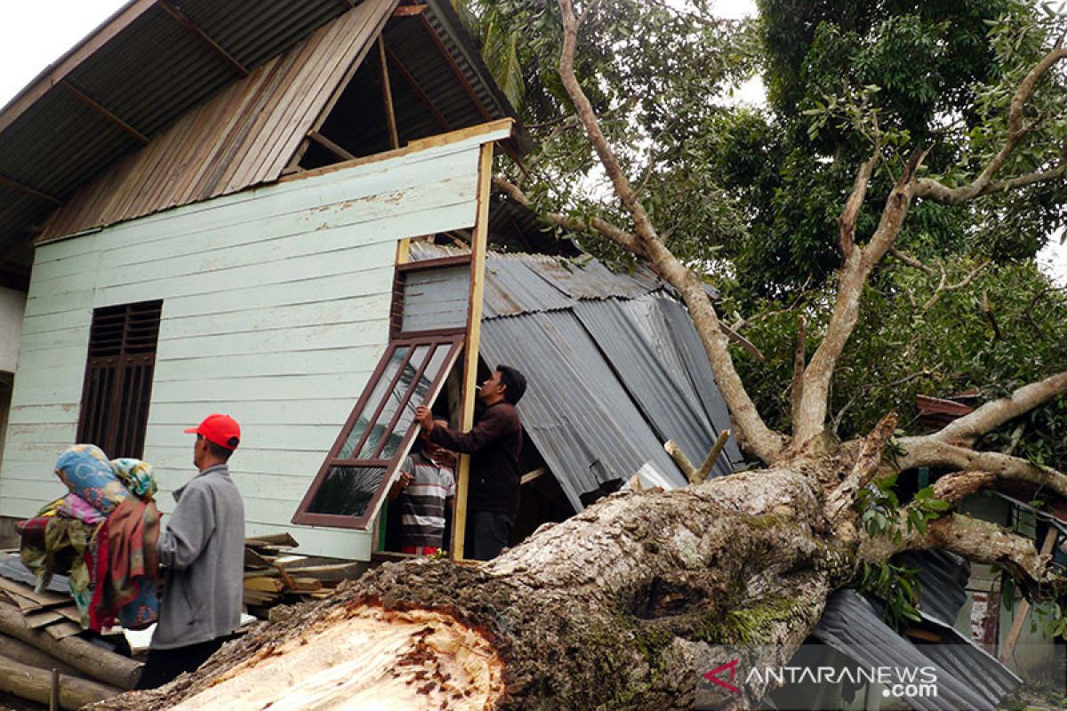 BMKG prakirakan angin kencang landa sebagian wilayah Indonesia