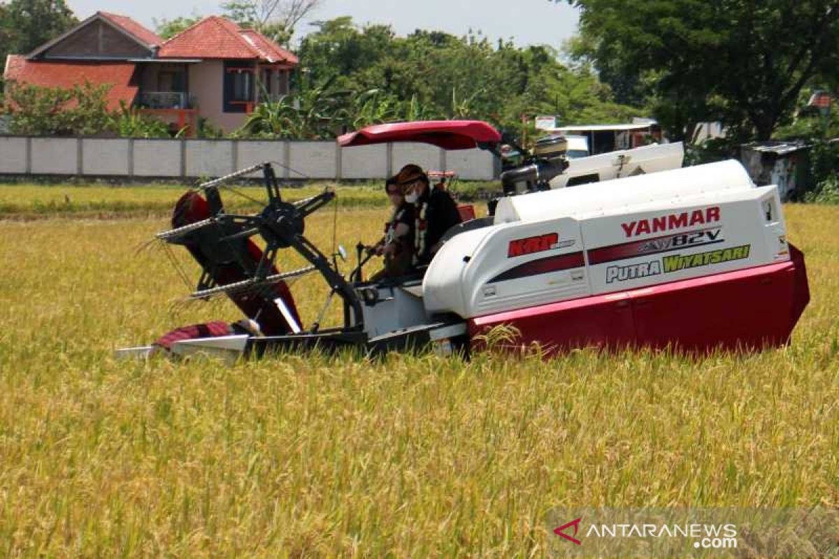 Distan Maluku harapkan pengembangan IP padi 400 di setiap kabupaten, terobosan teknologi