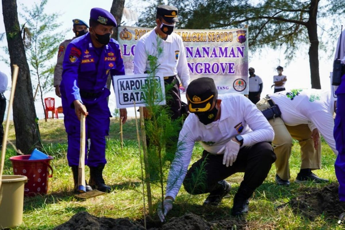 Polres Batang tanam 60 ribu  mangrove cegah abrasi