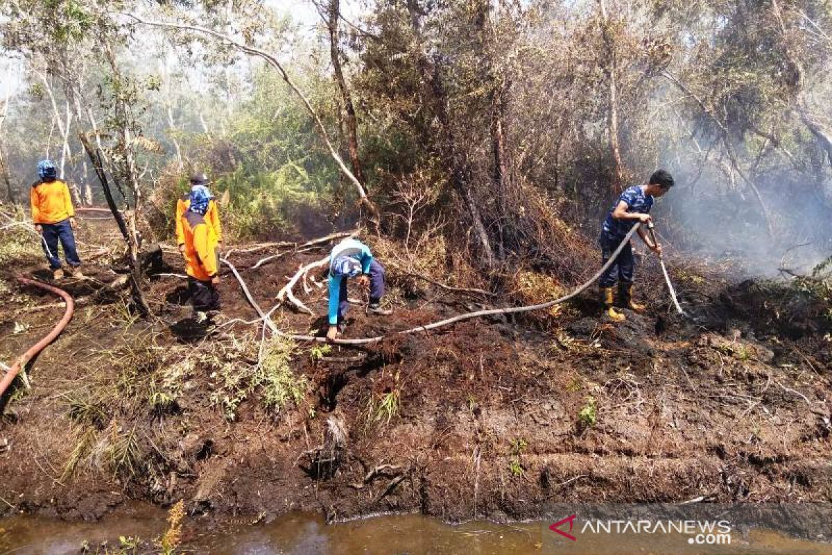 Lahan gambut terbakar di Aceh Barat bertambah menjadi 2,2 hektare