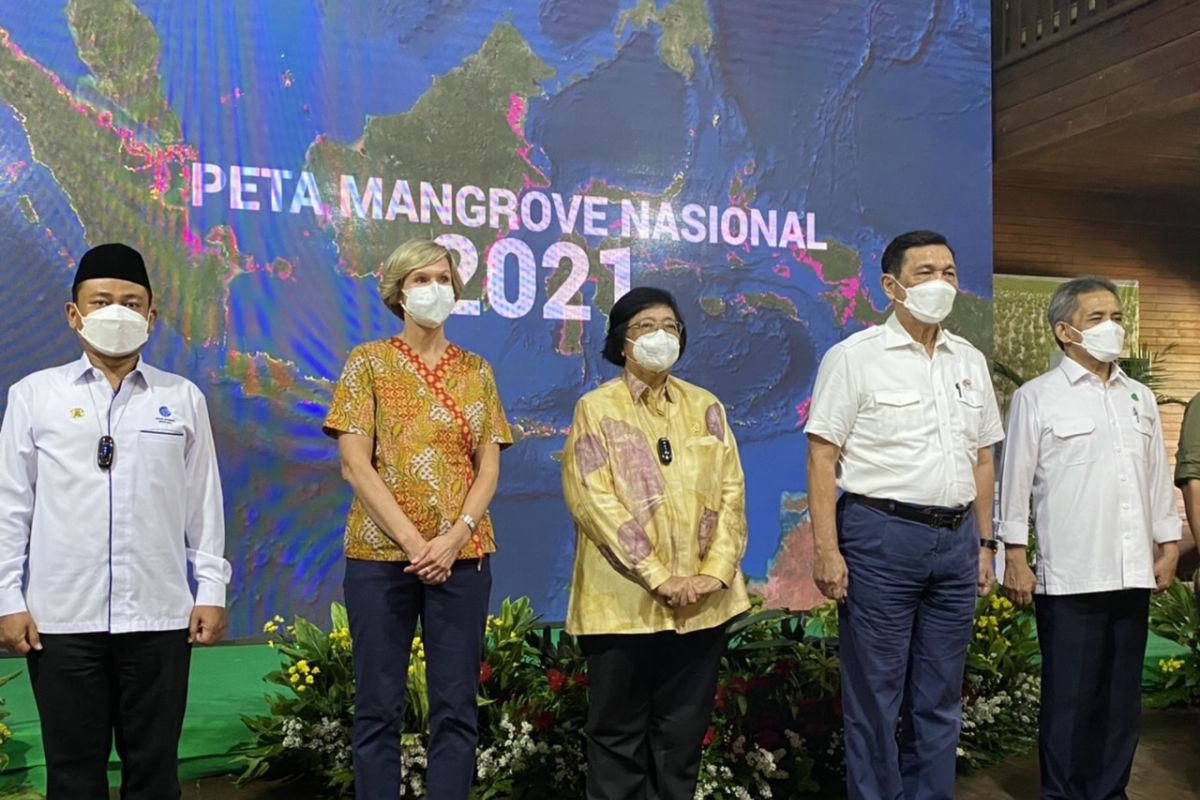 Pemerintah umumkan luas lahan mangrove jadi 3,364 juta hektare pada 2021