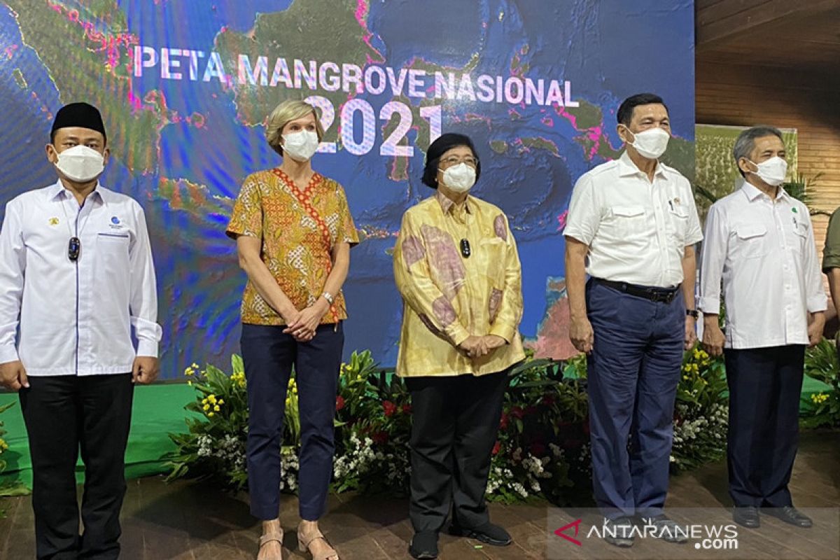 Pemerintah umumkan luas mangrove jadi 3.364 juta hektare pada 2021