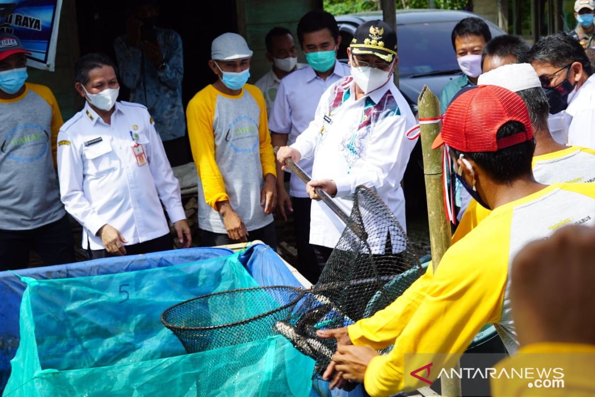 Bupati HSS canangkan Desa Asam sebagai Kampung Gabus Haruan