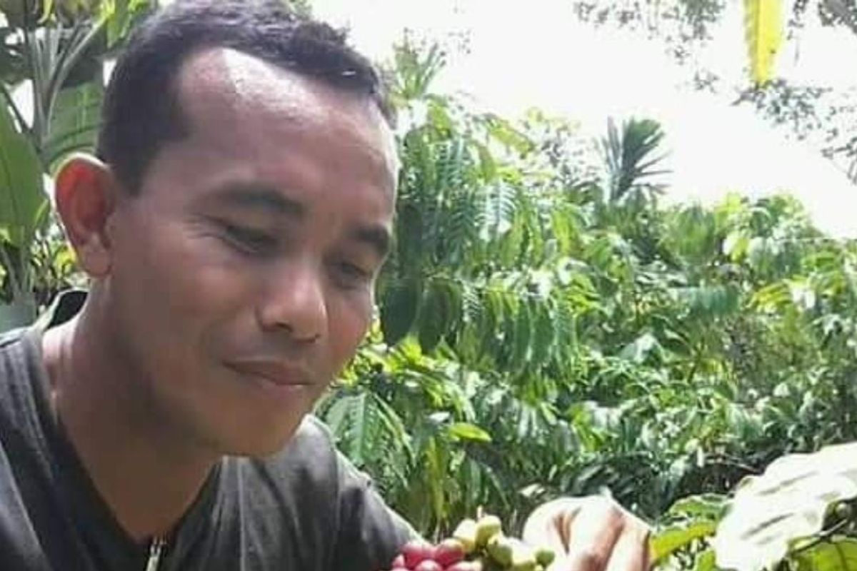 Ini potensi robusta  di Aceh Jaya