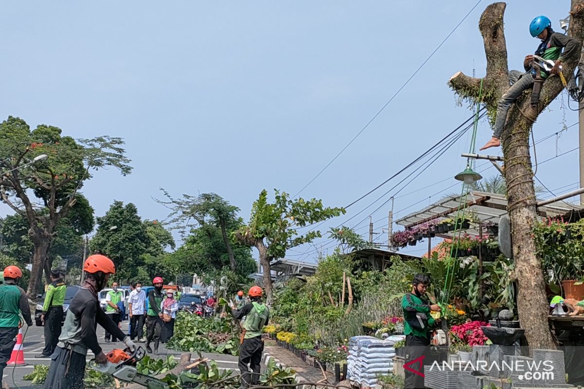 Disperumkim Bogor targetkan tambah 660 pohon ber-KTP