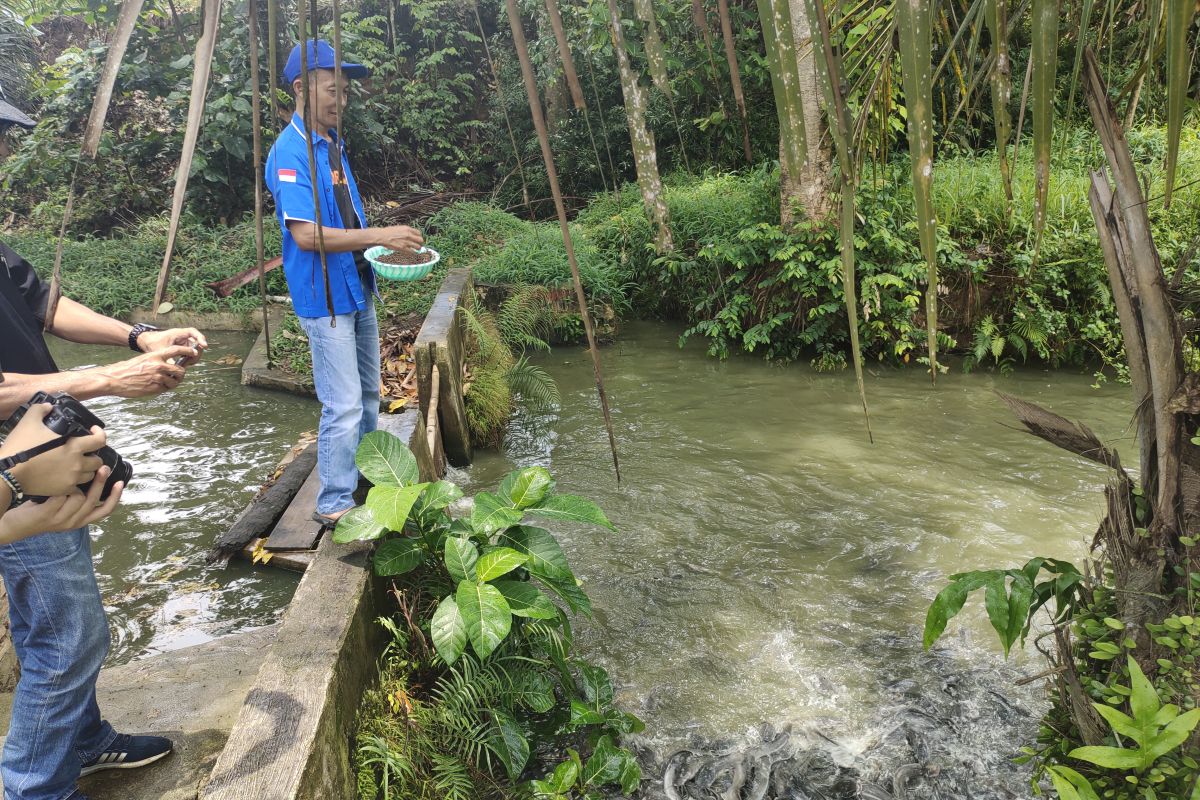 Pembudidaya ikan tawar di Lampung harapkan standar harga