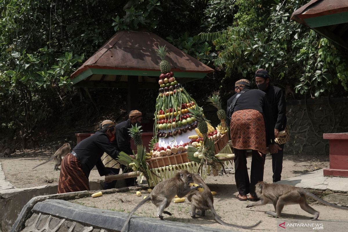 Pengamat: Wacana Sandiaga kembangkan Desa Wisata Cikakak sangat tepat