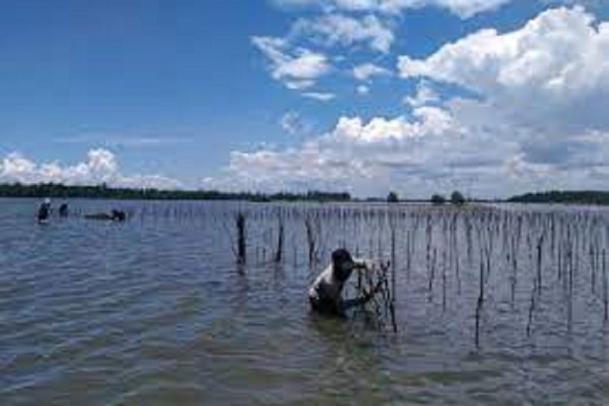 BRGM, Unmul provide training on eco-friendly aquaculture