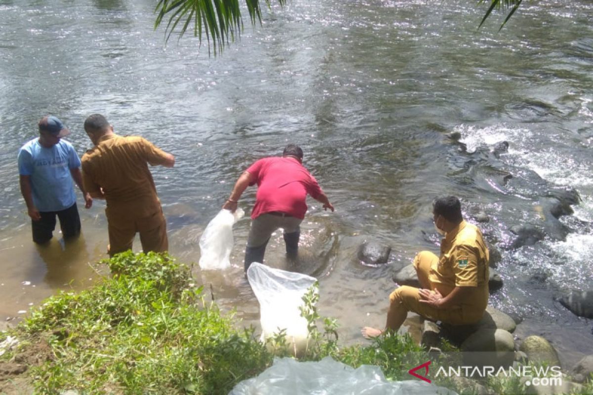 Selain restoking ikan endemik di Agam, ke sini legialator Sumbar alokasikan dana Pokir