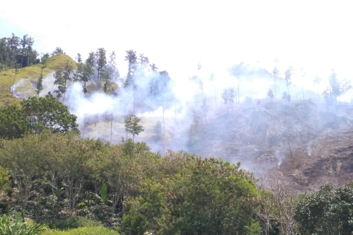 Hutan lindung seluas 19,5 hektare terbakar