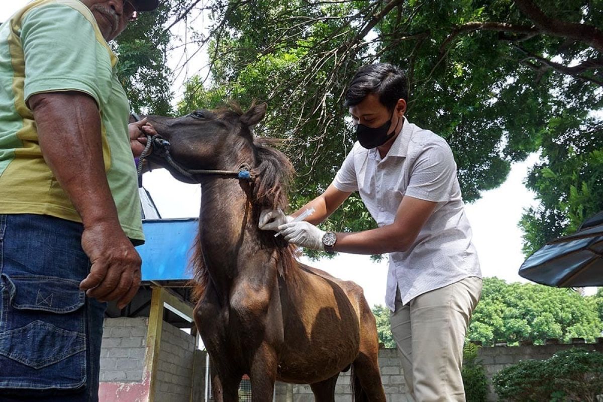 Pemkot Kediri periksa hewan di kebun binatang mini Paggora