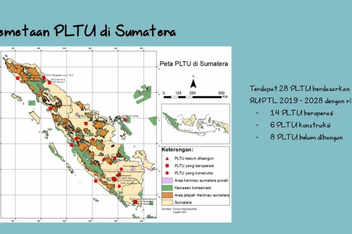 PLTU batu bara ancam gajah dan harimau Sumatera