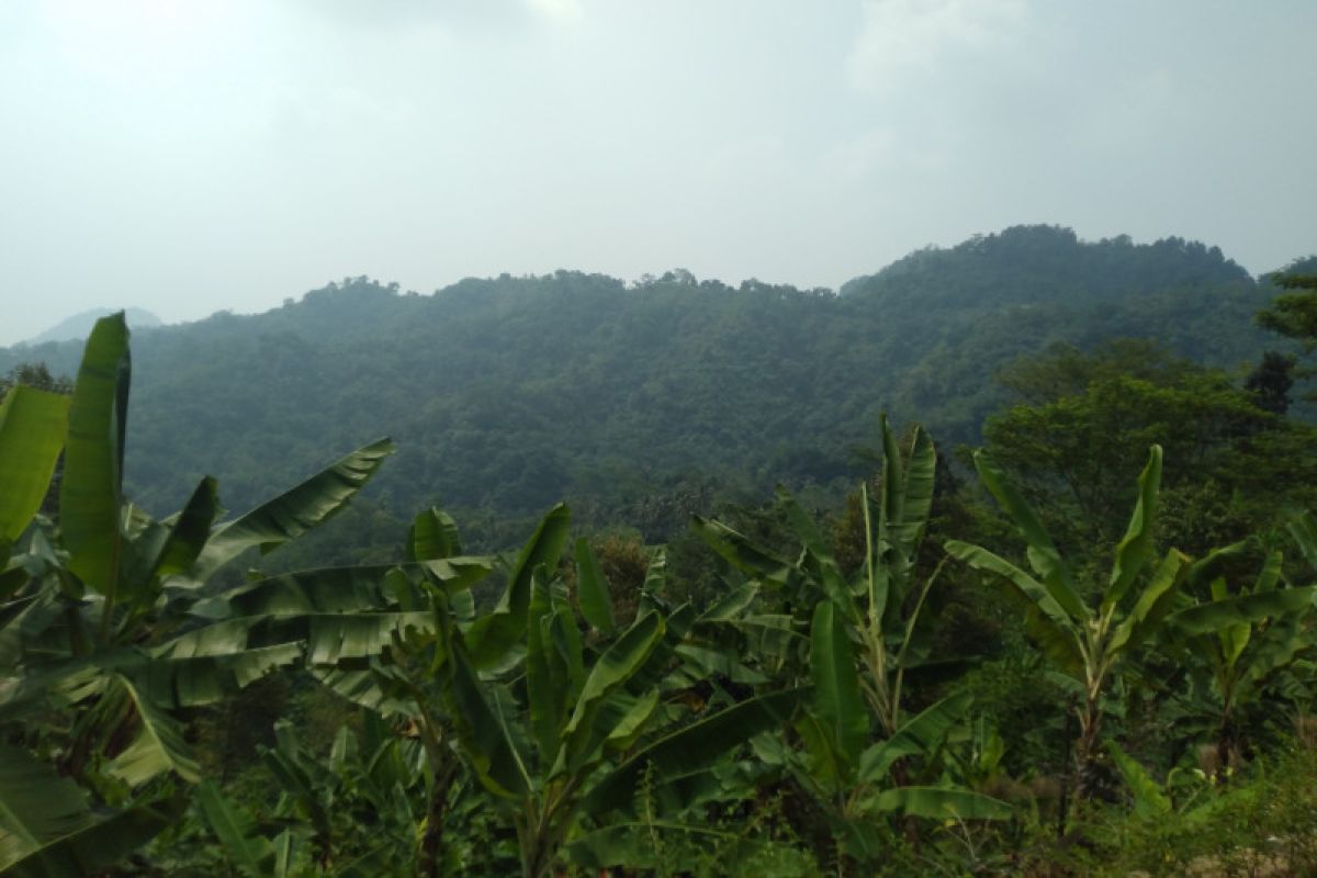 Kawasan hutan Pangkalan Karawang dijadikan tempat praktikum kampus Unsika