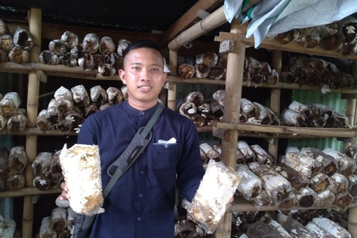 Olah produk pangan eksotis, alumni Polbangtan Kementan jadi enterpreneur milenial