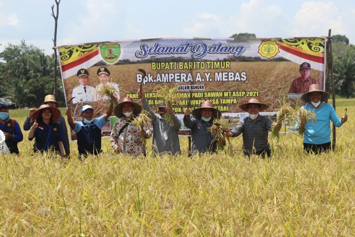 Bupati Bartim: Pembangunan sektor pertanian demi ketahanan pangan daerah