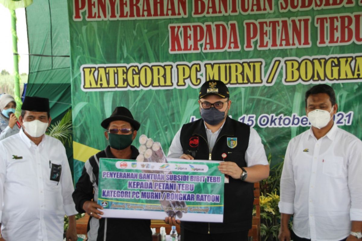 PTPN X beri subsidi bibit tebu unggul kepada ratusan petani
