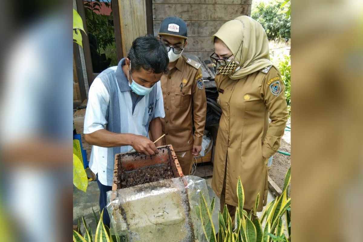 Wabup Seruyan sebut budidaya madu kelulut potensial dikembangkan