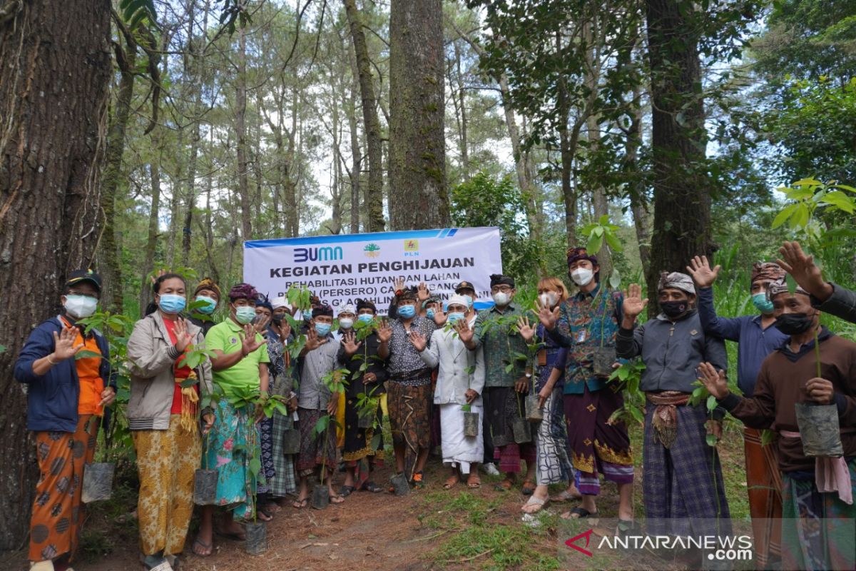 PLN Lakukan Penghijauan hutan lindung Bangli