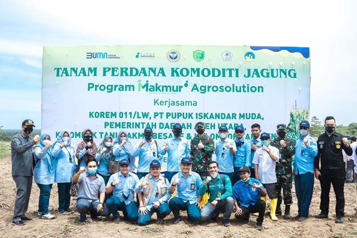 PIM gandeng TNI tanam jagung di lahan 100 hektare