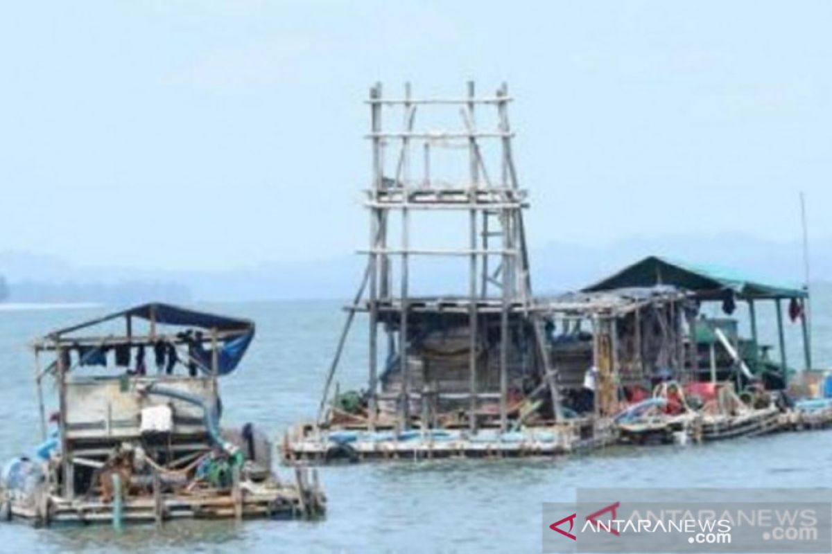 Gubernur Babel berupaya tindak tambang ilegal di konsevasi rumput laut