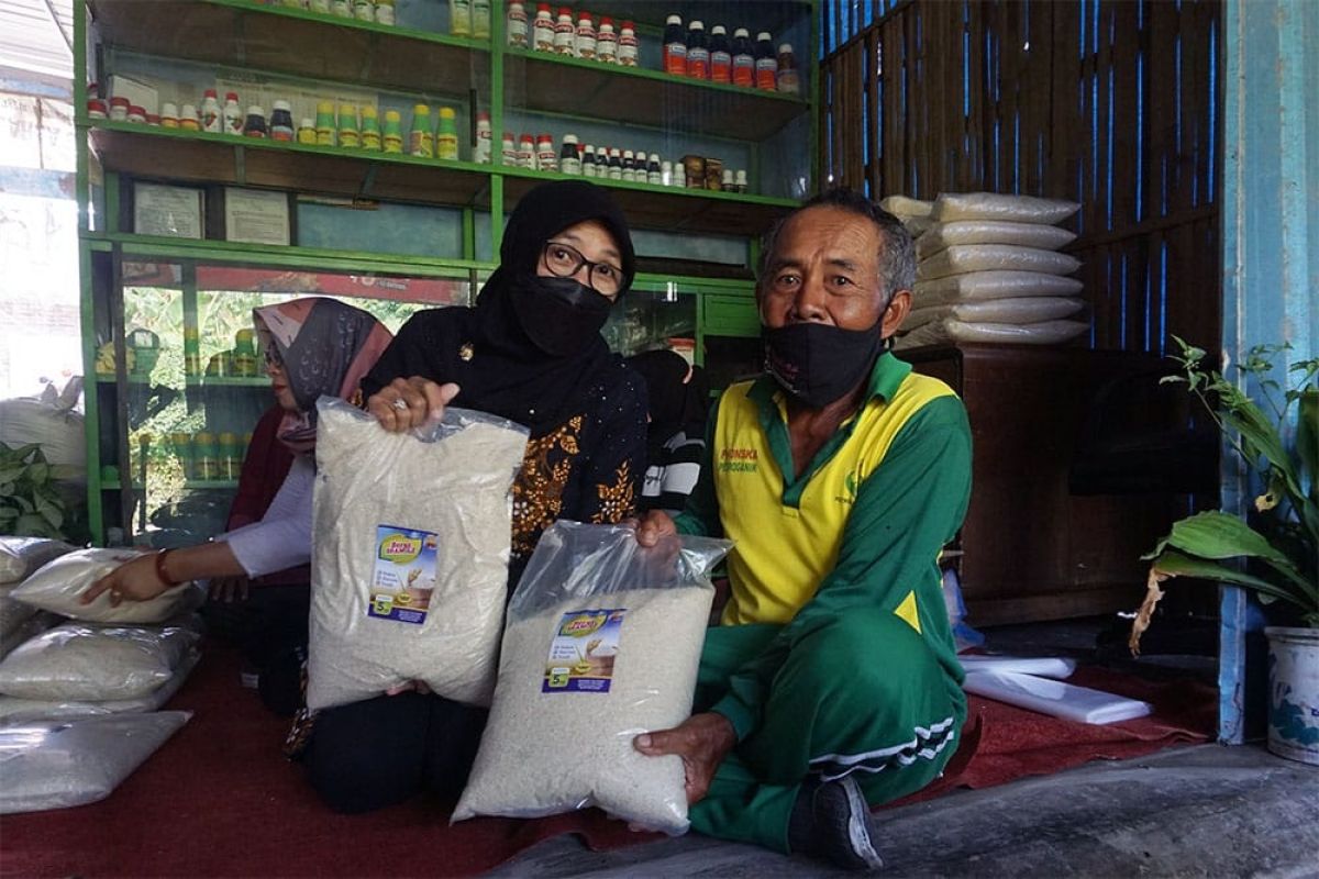 Pemkot Kediri dorong pengembangan budi daya padi organik