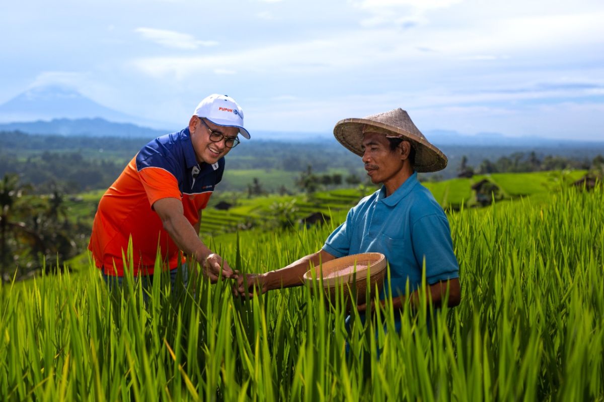 Program Makmur Pupuk Kaltim tingkatkan produktivitas 145 persen