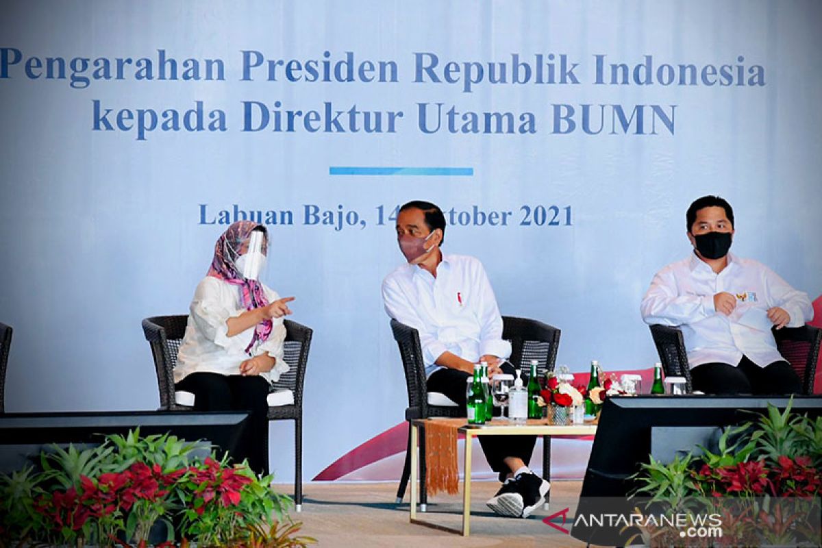 Presiden Jokowi tidak ingin BUMN sering dapat proteksi