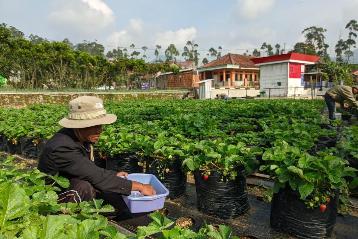 Dorong Perekonomian di Lembaga Pendidikan, Pertamina Perkuat Komitmen SDGs dan ESG