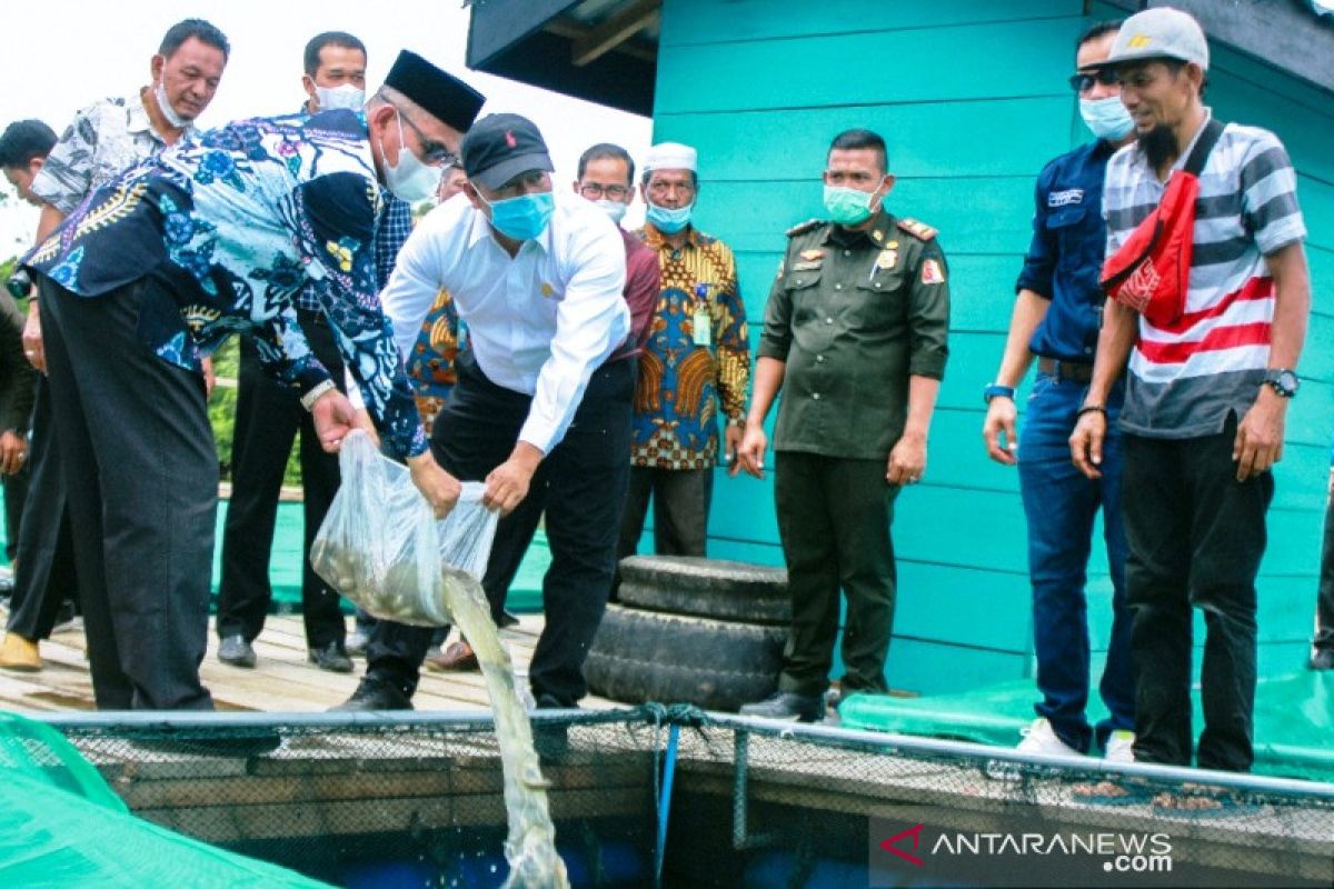 Pemkab Nagan Raya tebarkan 110 ribu bibit Ikan nila di Danau Laut Tadu