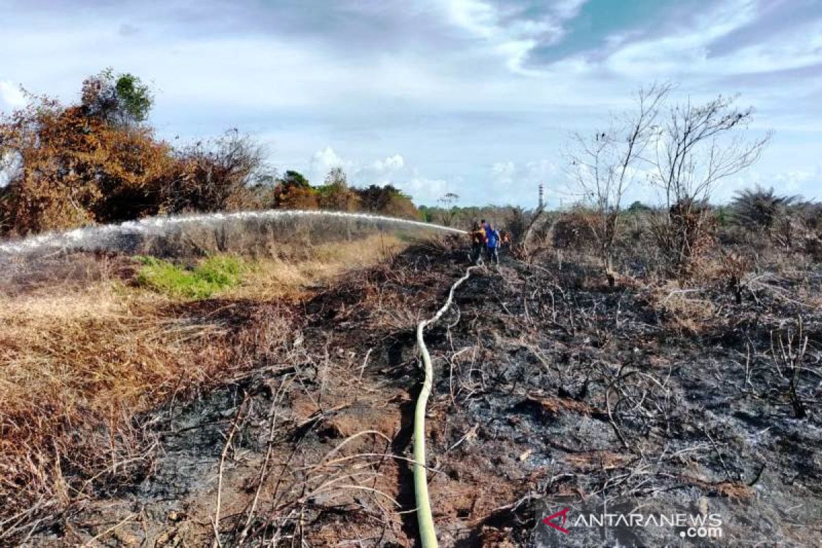BPBD: Kebakaran lahan gambut di Aceh Barat 100 persen sudah padam