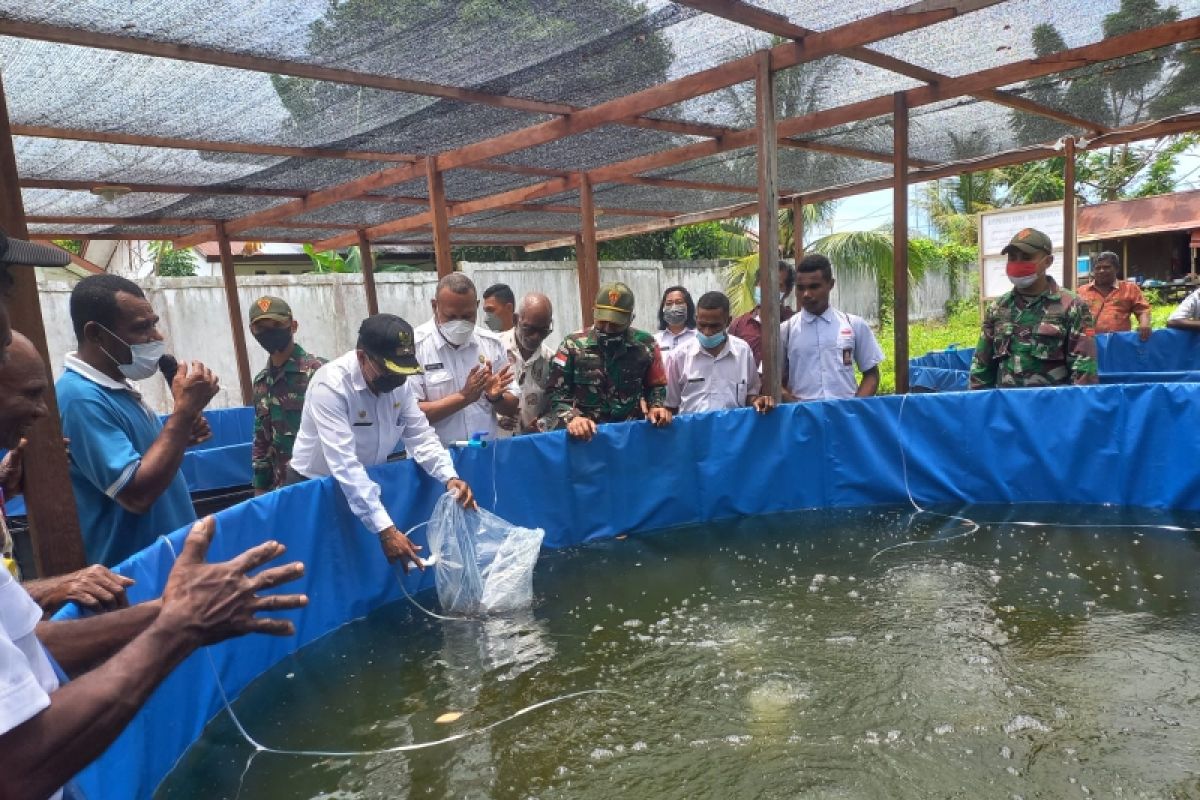 Satgas TNI Yonif 131 prakarsai budi daya lele di perbatasan RI-PNG