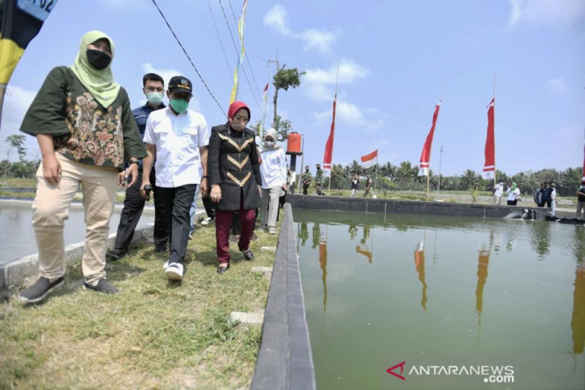 Dorong budidaya ikan hias, Mendes PDTT resmikan sistem IoT  di Blitar