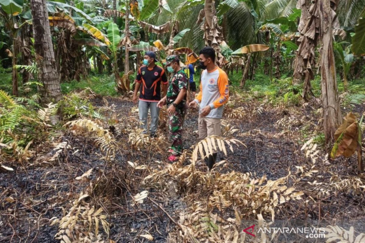 BPBD Penajam Paser Utara Kaltim pastikan titik api di Babulu padam