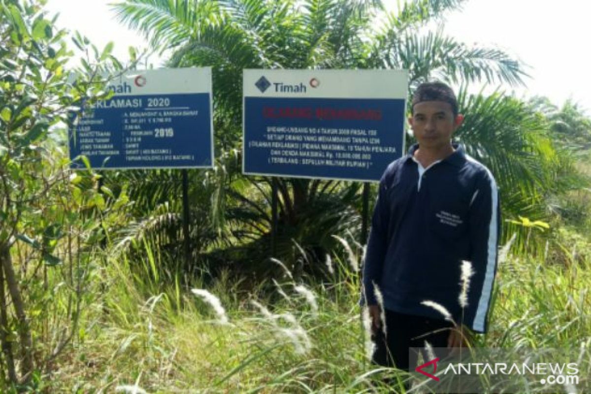 PT Timah-Pengurus Masjid Desa Pangen tanam sawit di bekas tambang