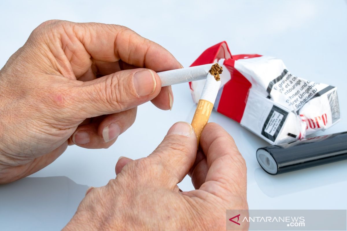 Produk tembakau alternatif 50 persen efektif kurangi kecanduan nikotin