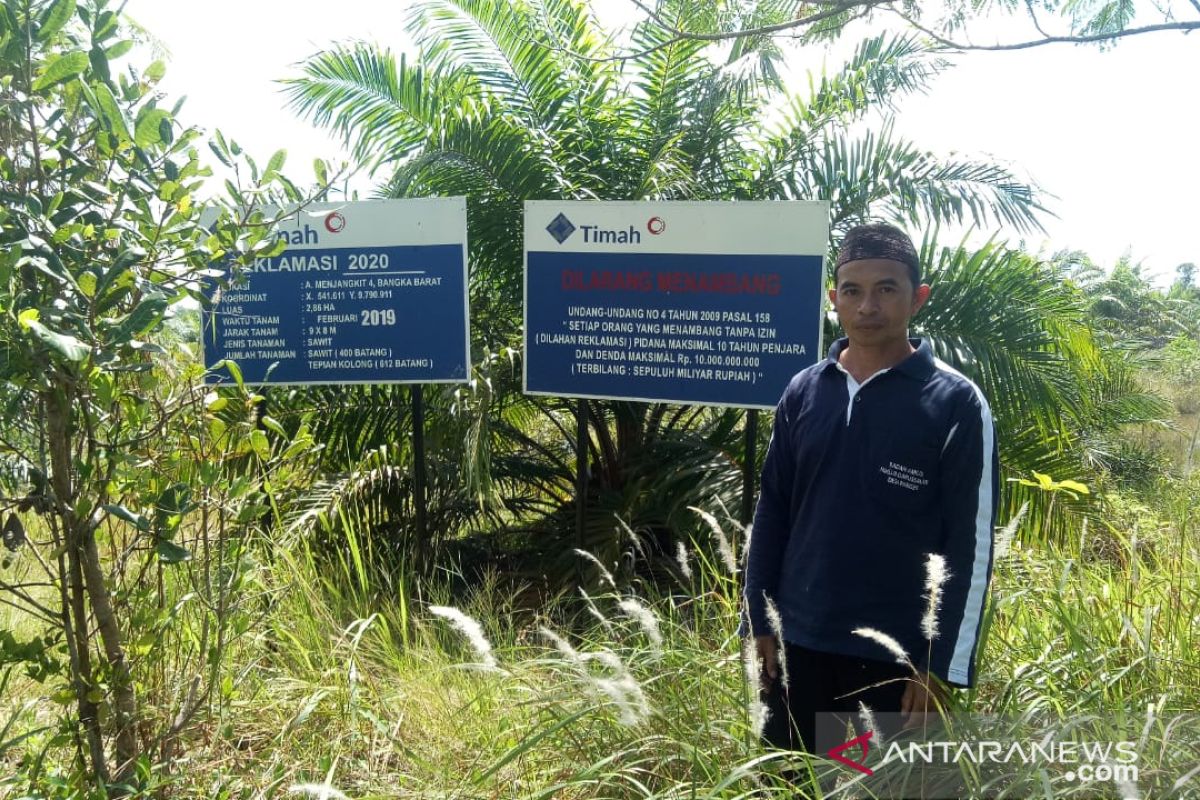 PT Timah-pengurus masjid di Bangka Barat menanam sawit di bekas tambang