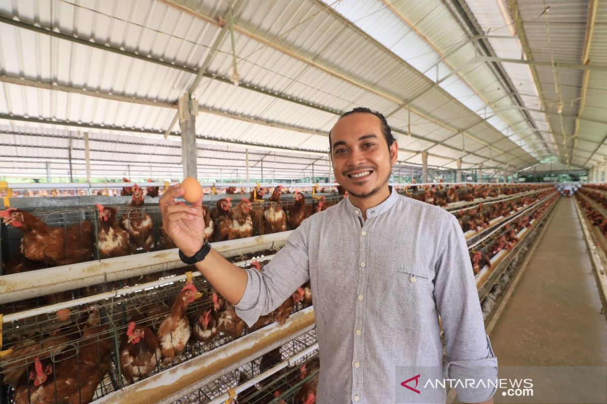 Petani milenial ini hasilkan omzet miliaran dari telur