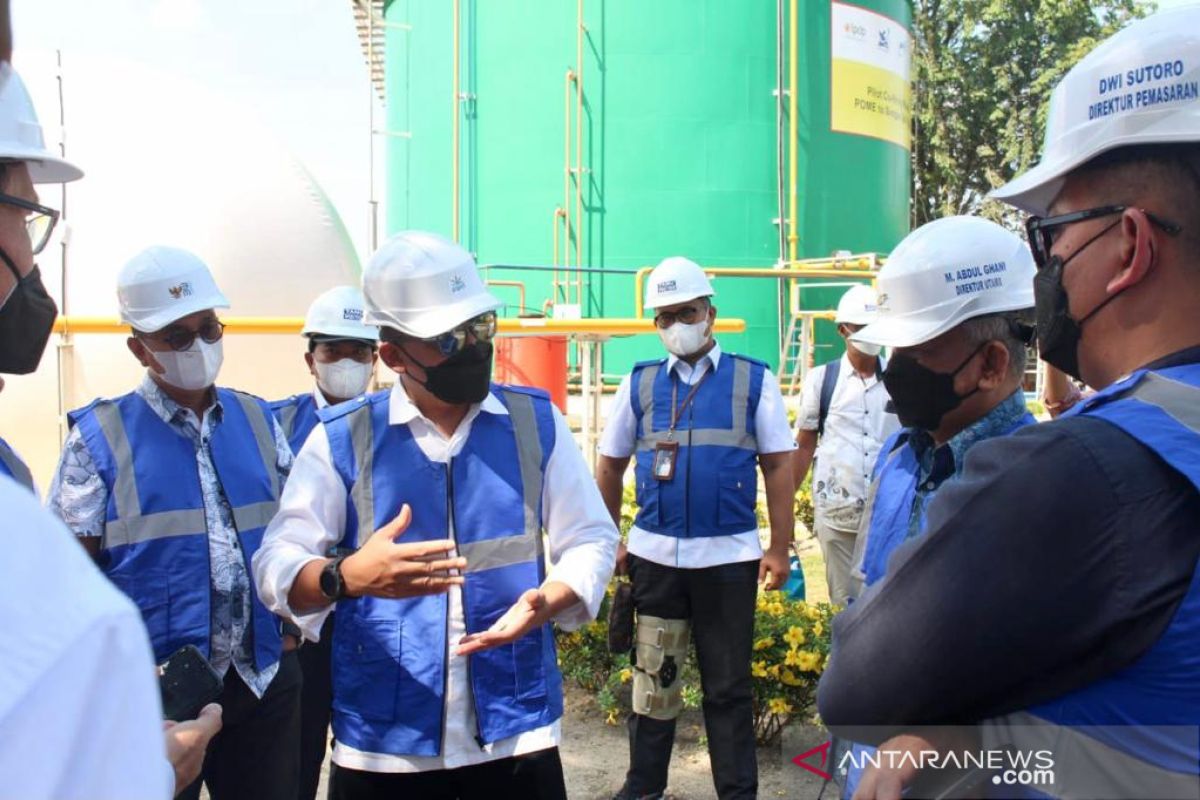 Holding Perkebunan perkuat energi terbarukan dukung dekarbonisasi